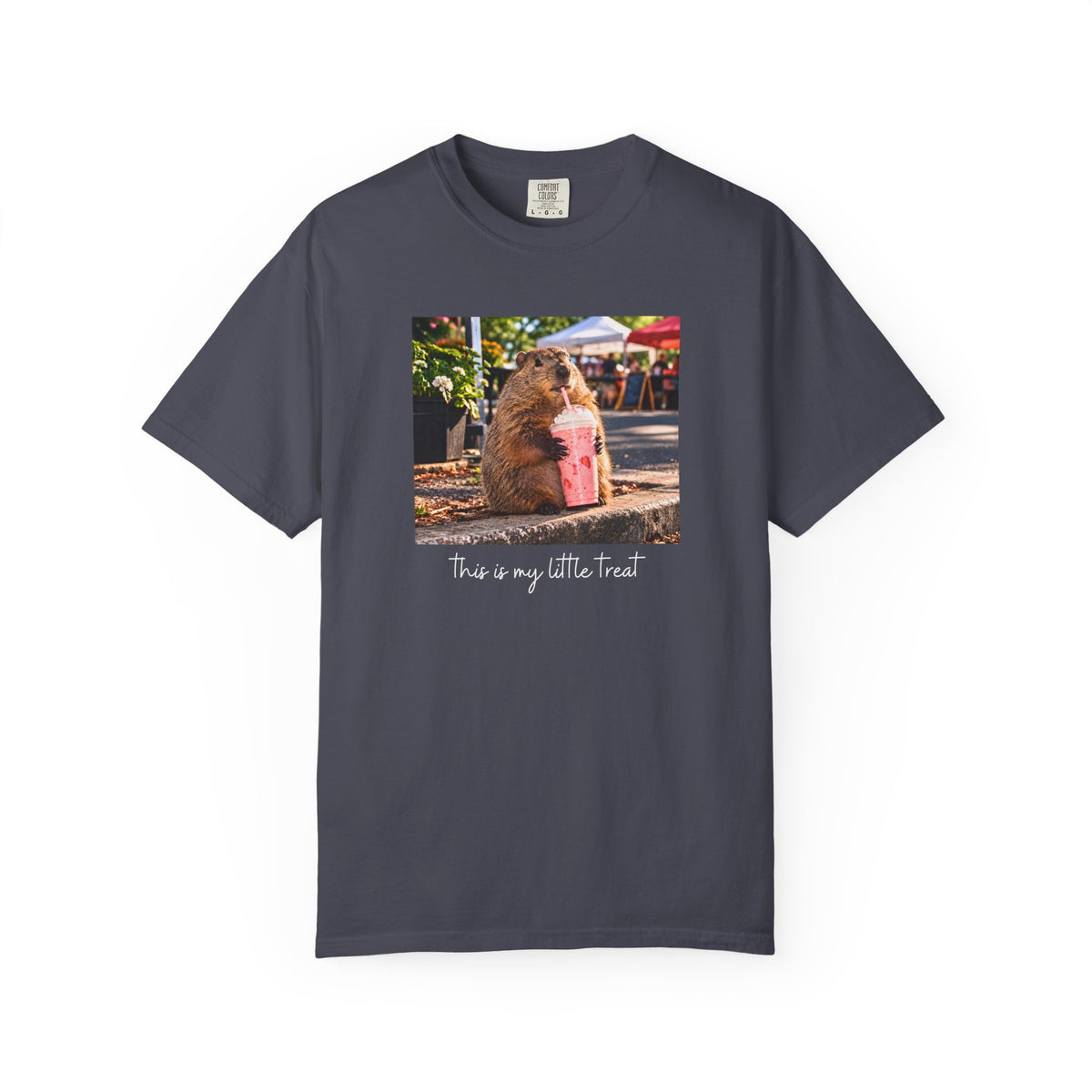 This Is My Little Treat Capybara T-shirt