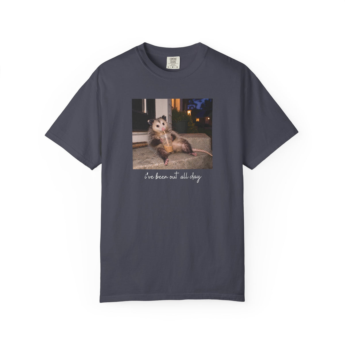 I've Been Out All Day Possum T-shirt