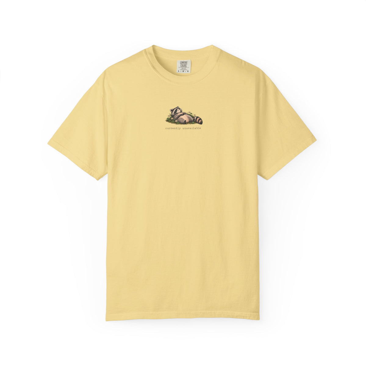 Currently Unavailable Cute Raccoon T-shirt