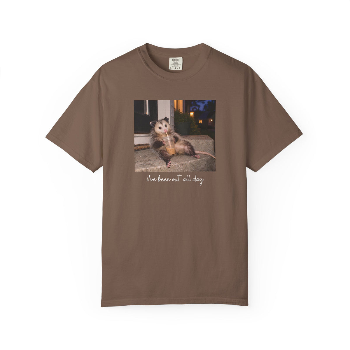 I've Been Out All Day Possum T-shirt