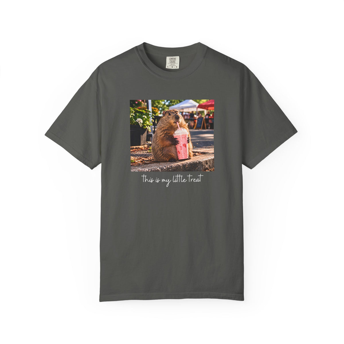 This Is My Little Treat Capybara T-shirt