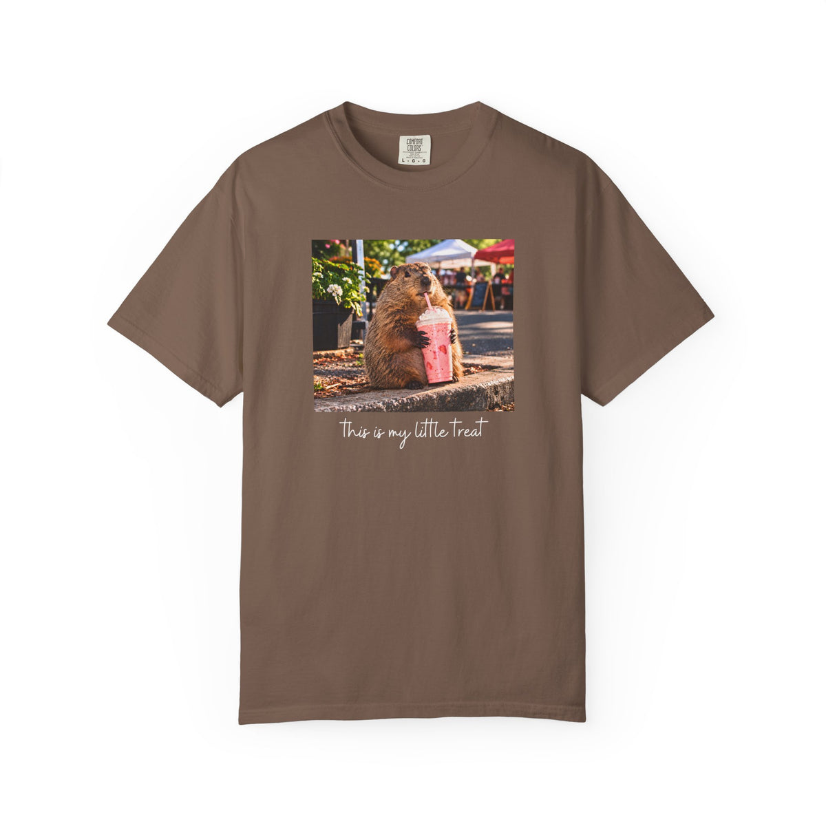 This Is My Little Treat Capybara T-shirt