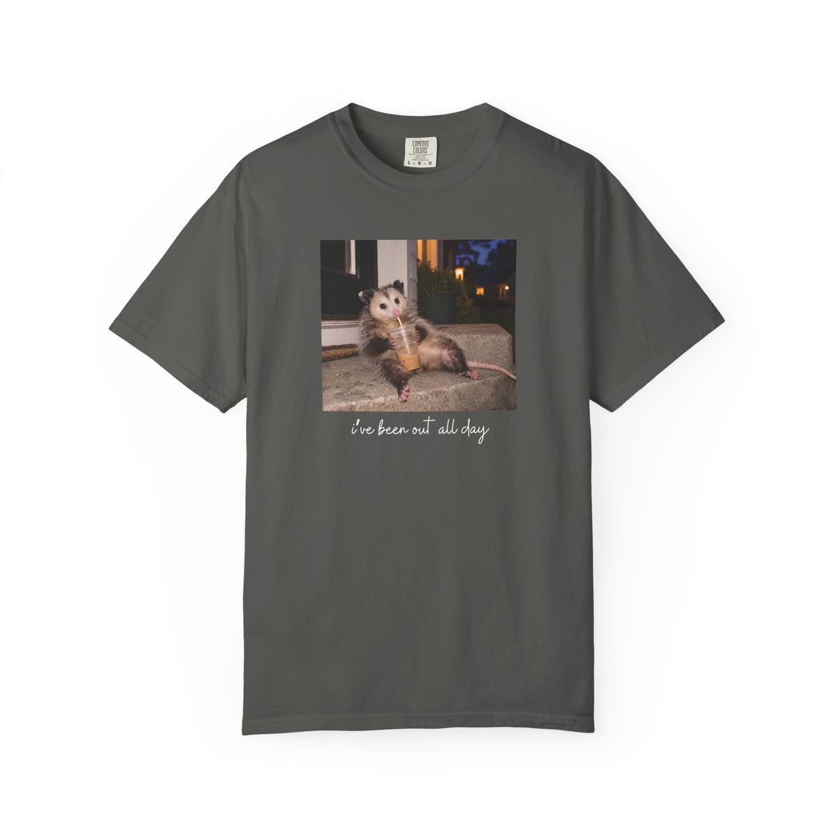 I've Been Out All Day Possum T-shirt