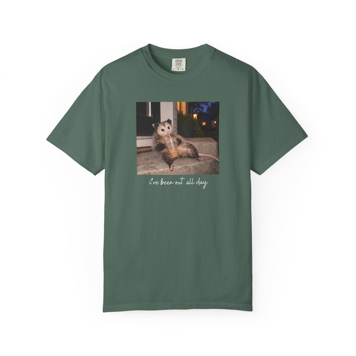 I've Been Out All Day Possum T-shirt